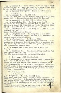16. L. sativum L. — Herba culinaria, in Eur. vix indig. v. sponte