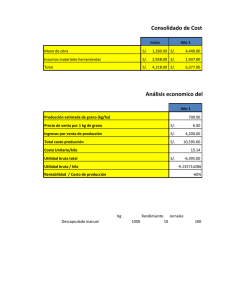 Consolidado de Costos de año 1 a Análisis economico del año de