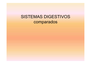sistemas digestivos