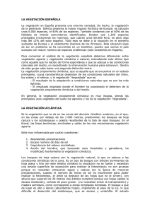 Tema de la vegetación española. Pulsa para acceder en pdf