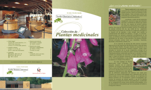 Colección de Plantas medicinales - Jardín Botánico