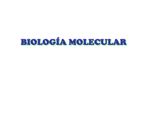 BIOLOGÍA MOLECULAR