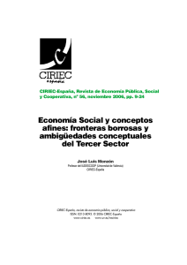 Economía Social y conceptos afines: fronteras borrosas y