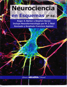 Neurociencia - Página Oficial de la Escuela Normal Regional de