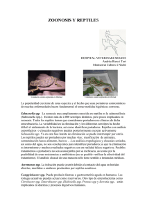 zoonosis y reptiles - Hospital Veterinari Molins