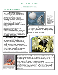 Tópicos Evolutivos - virtual.chapingo.mx