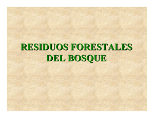 RESIDUOS FORESTALES DEL BOSQUE