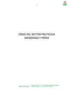 CRISIS DEL SECTOR FRUTICOLA MANZANAS Y PERAS