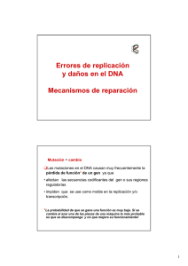 Errores de replicación y daños en el DNA Mecanismos de reparación