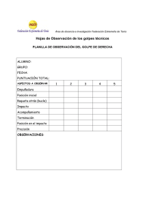 Hojas de Observación de los golpes técnicos