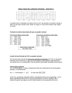 RESULTADOS DEL EJERCICIO OPCIONAL: PRACTICO 3