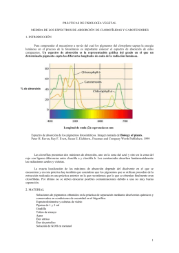 Guia De Espectrofotometria