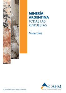 Minería Argentina – Todas las Respuestas