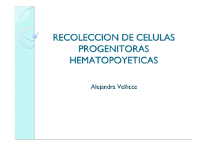 recoleccion de celulas progenitoras hematopoyeticas