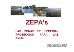 LAS ZONAS DE ESPECIAL PROTECCION PARA LAS AVES.