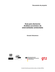 W200 Guía para decisores, Análisis económico de externalidades