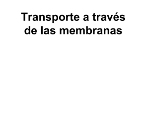 TRANSPORTE DE MEMBRANAS