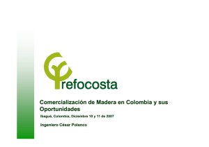 Comercialización de Madera en Colombia y sus Oportunidades
