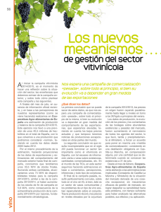 Los nuevos mecanismos de gestión del sector vitivinícola. / Nace la