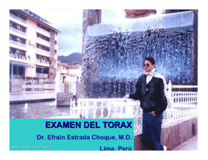 Examen del Torax