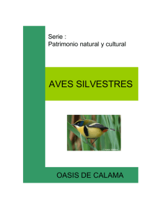 aves silvestres - Centro de Estudios Agrarios y Ambientales