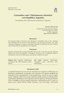 Centranthus ruber (Valerianaceae) adventicia en la República