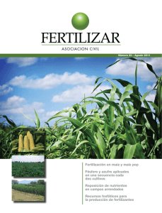 Fertilización en maíz y maíz pop Fósforo y azufre