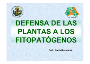 Defensa de las Plantas ()