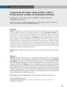 Comparación del cultivo celular de HeLa y HEp-2