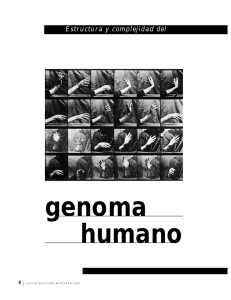 Estructura y complejidad del genoma humano - E
