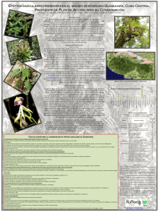 plan de acción para la conservación de epífitas vasculares en