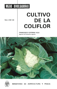 21/1981 - Ministerio de Agricultura, Alimentación y Medio Ambiente