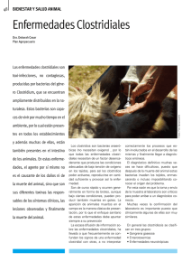 Enfermedades Clostridiales - Instituto Plan Agropecuario