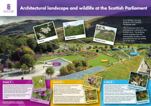 Architectural landscape and wildlife at the Scottish Parliament