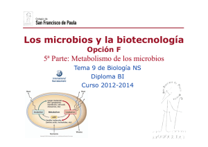 F5 Metabolismo microbios