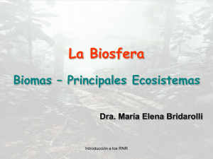 Biosfera Ecosistemas MEB