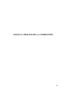 ANEXO 11: PROCESO DE LA COMBUSTIÓN