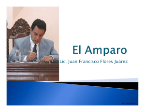 El Amparo. Origen, principios y naturaleza juridica