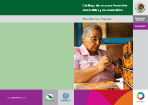 PDF Catálogo de recursos forestales maderables y no