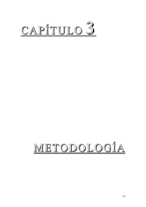 CAPÍTULO 3 METODOLOGÍA