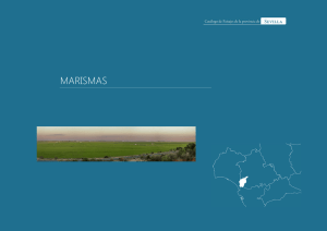 marismas - Centro de Estudios Paisaje y Territorio