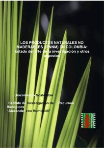 LOS PRODUCTOS NATURALES NO MADERABLES (PNNM)