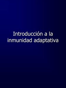 Introducción Inmunidad Adaptativa post