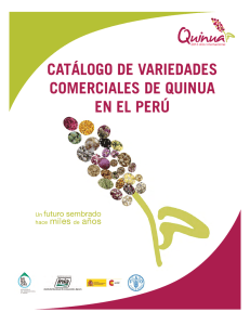 Catálogo de variedades comerciales de quinua en el Perú