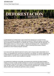 La deforestación es la destrucción a gran escala de los