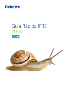 Guía Rápida IFRS 2014