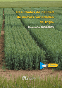 Resultados de calidad de nuevas variedades de trigo.