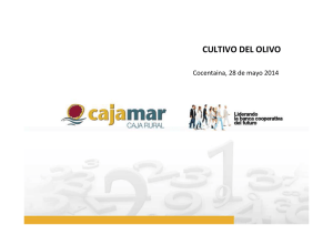 Cultivo del olivo. Alfonso Giner (PDF 1,49 MB.)