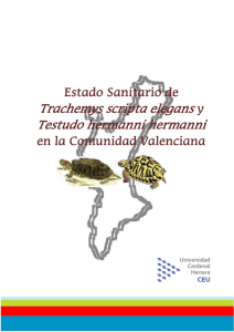 Trachemys scripta elegans y Testudo hermanni