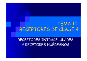 TEMA 10. RECEPTORES DE CLASE 4
